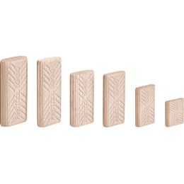 Tenon